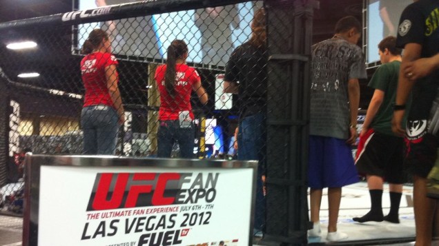 Os torcedores que vão à UFC Fan Expo podem tirar fotos dentro do octógono do UFC