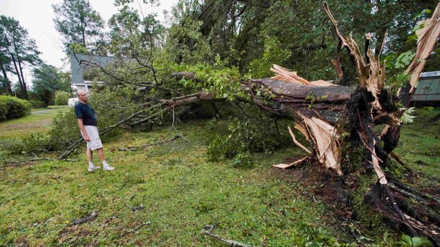 Morador observa árvore arrancada pela passagem do furacão Irene, na Carolina do Norte