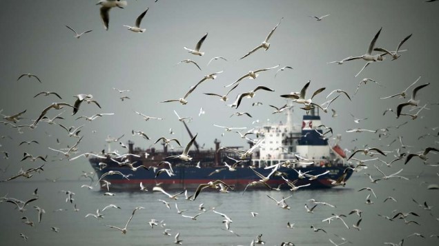 Gaivotas voam próximas a um petroleiro ancorado na costa libanesa, na periferia de Beirute