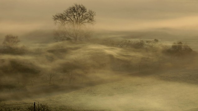 Névoa cobre campos agrícolas ao amanhecer em Glastonbury, Inglaterra