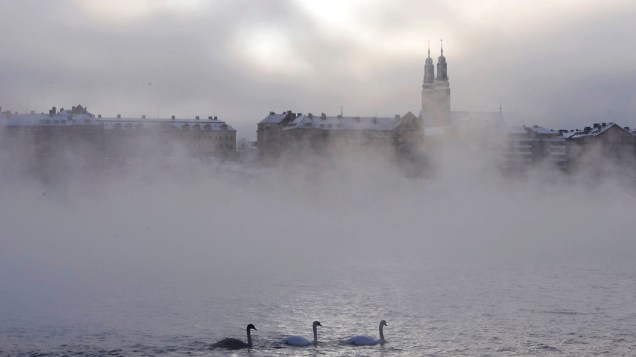 Três cisnes são vistos em meio ao nevoeiro no lago Malaren, no centro de Estocolmo, Suécia