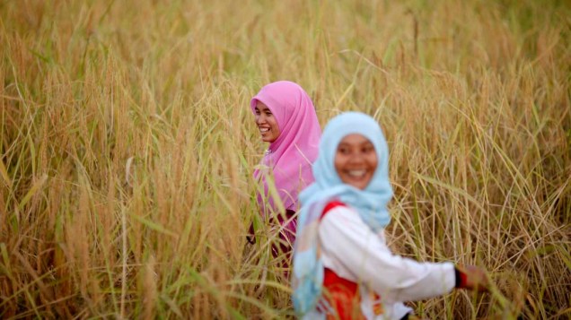 Garotas muçulmanas em arrozal na província de Yala, Tailândia