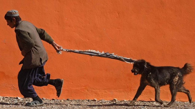 Homem passeia com seu cachorro na cidade de Herat, Afeganistão