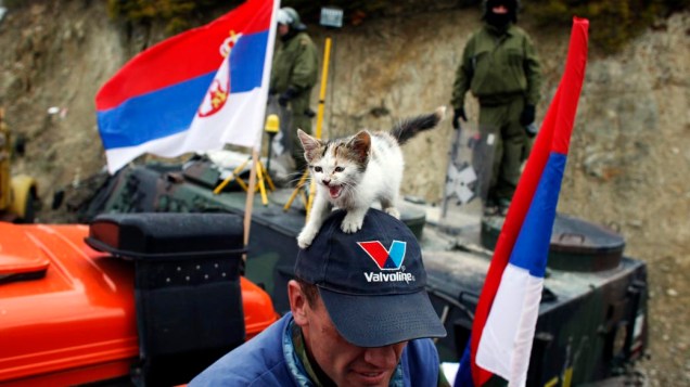 Gato se equilibra em boné de sérvio em frente a soldados alemães da Otan na vila de Jagnjenica, no Kosovo