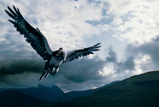 Harry Potter (Daniel Radcliffe) monta em Bicuço