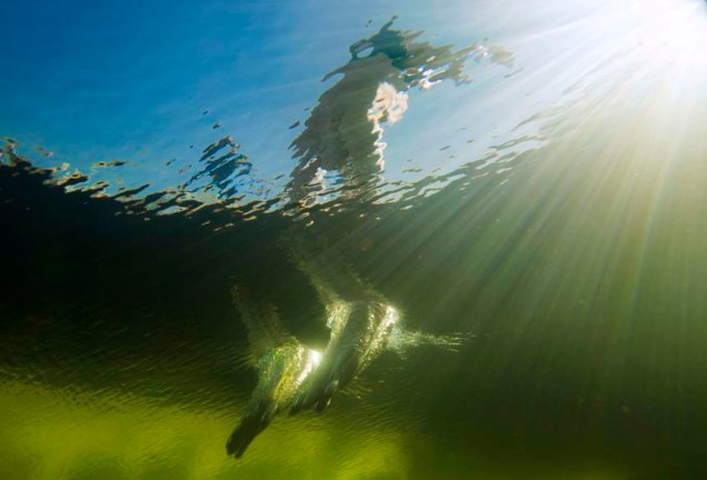 Em São Petersburgo, Rússia, homem mergulha nas águas geladas do rio Neva que atingiu os 3 graus Celsius