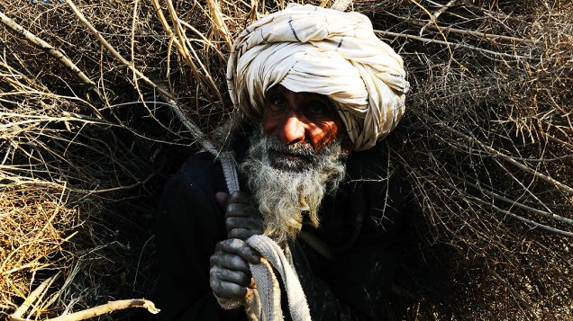 Idoso afegão carrega lenha sobre os ombros em Herat, nesta quinta-feira (20)