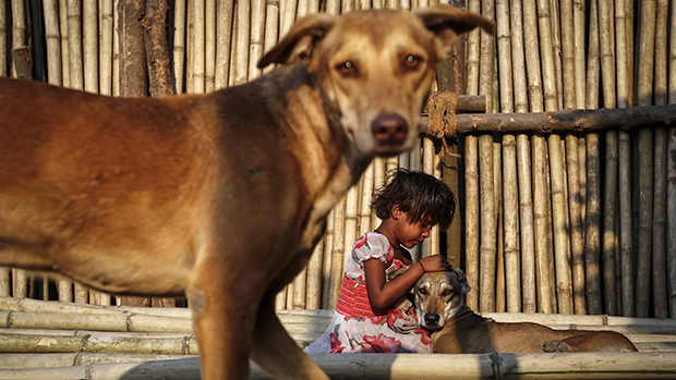 Menina com seus cachorros em um mercado de Mumbai, na Índia