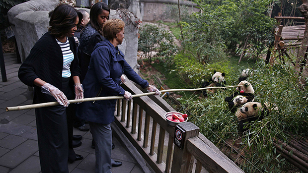Michelle Obama, sua mãe, Marian Robinson e a filha Malia alimentam pandas gigantes durante visita à base de pesquisa sobre os animais em Chengdu, na província de Sichuan, na China Michelle Obama, sua mãe, Marian Robinson e a filha Malia alimentam pandas gigantes durante visita à base de pesquisa sobre os animais em Chengdu, na província de Sichuan, na China