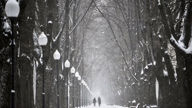 Casal caminhou em parque coberto de neve em Moscou, na Rússia. Após uma semana de tempo quente as temperaturas caíram para -1 °C