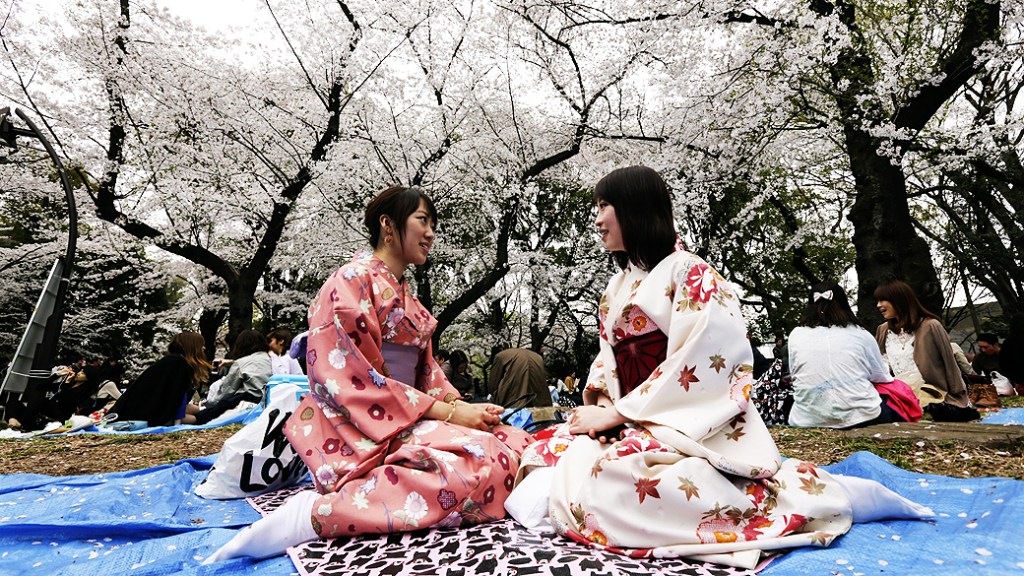 Japonesas aproveitam o dia em meio a cerejeiras em flores, em parque da cidade de Tókio, no Japão