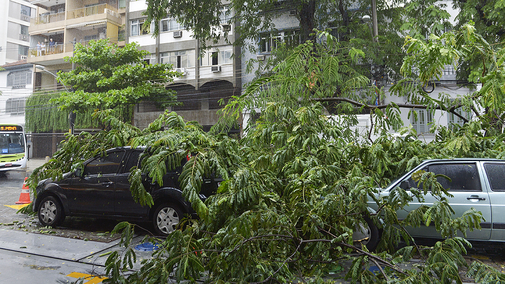 Árvore caida na rua Conselheiro Olegário no Maracanã, zona norte do Rio de Janeiro em dia de muita chuva na cidade