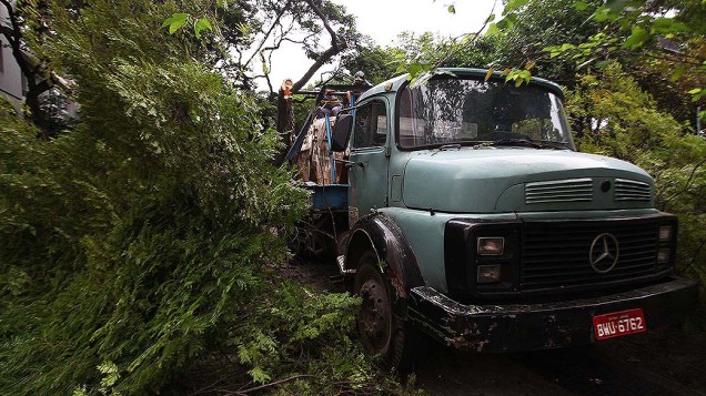 Uma árvore caiu após ser atingida por um caminhão caçamba e interditou a Avenida 9 de Julho, no Itaim Bibi em São Paulo