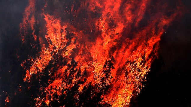 Incêndio consome floresta de pinheiros perto de várias aldeias na periferia de Beirute, no Líbano