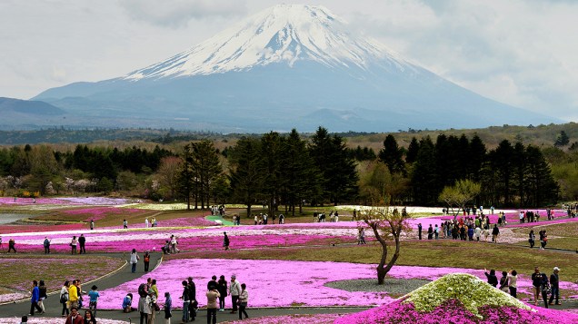 Turistas visitam parque aos pés do Monte Fuji em época de florescimento