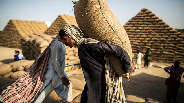 Trabalhador paquistanês carrega sacos de trigo perto de Multan, na província de Punjab