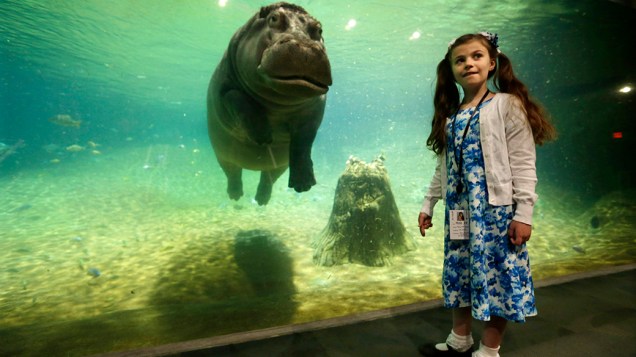 Criança observa um hipopótamo no Adventure Aquarium, em Londres, Inglaterra