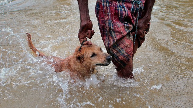 Homem carrega cachorro após uma tempestade de monções atingir a cidade de Colombo, no Sri Lanka