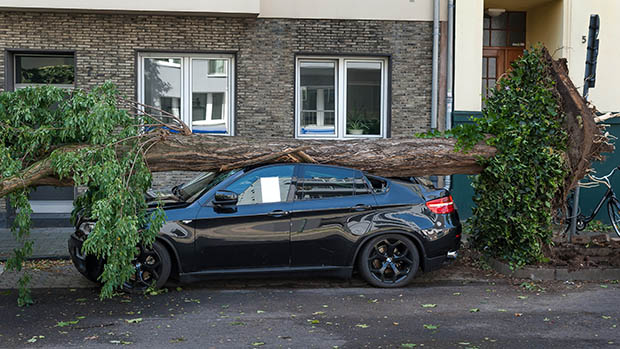 Árvore caiu sobre um carro em Duesseldorf, na Alemanha, após uma tempestade