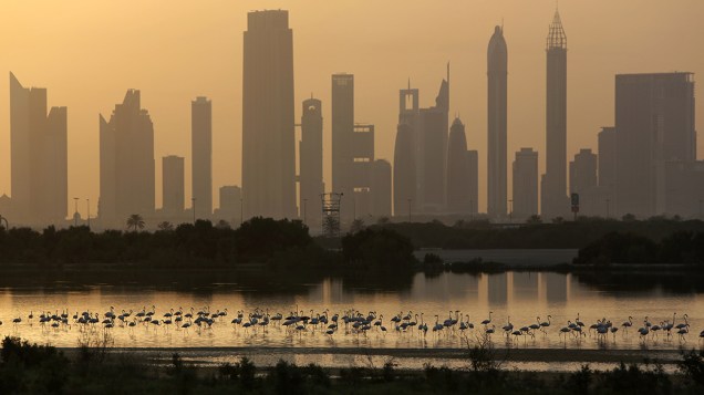 Arranha-céus, rodovia e flamingos marcam a pasaigem da cidade de Dubai, nos Emirados Árabes Unidos