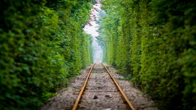 Linha ferroviária na cidade de Nanjing, na China, tem seu entorno rodeado por árvores
