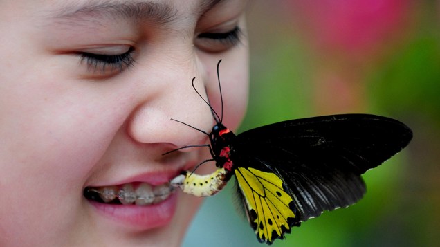 Borboleta é fotografada no rosto de uma turista no vale borboleta em Shenyang, nordeste da China