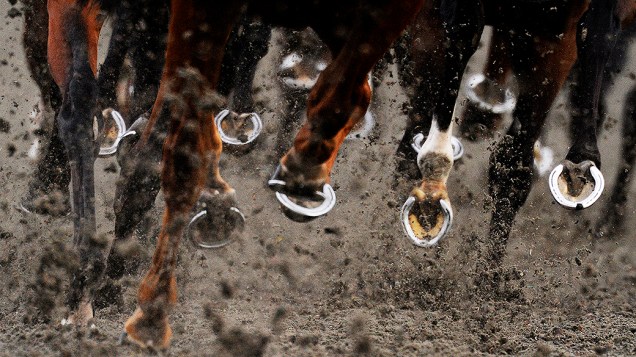 Cascos de cavalos registrados durante competição em Sunbury, Inglaterra