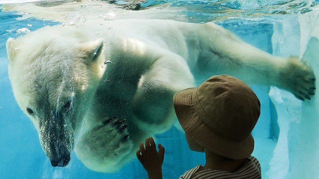 Garoto observa um urso polar no zoológico de Ueno, em Tóquio<br><br> 