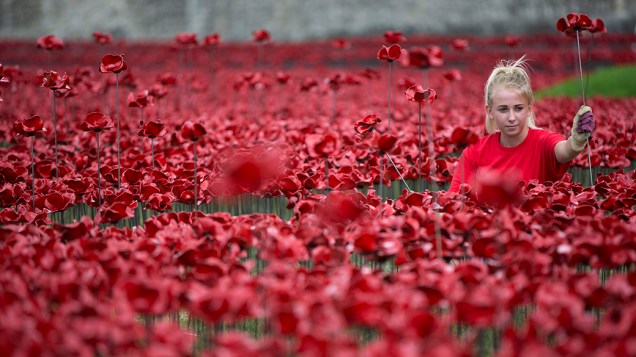 Instalação artística mostra papoulas de cerâmica que marcam o aniversário da Primeira Guerra Mundial, na Torre de Londres, Inglaterra. Produzida pelo artista Paul Cummins, a exposição é formada por 888.246 flores que representam as vidas dos militares mortos durante o confronto