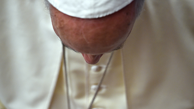 Papa Francisco após audiência geral no Vaticano