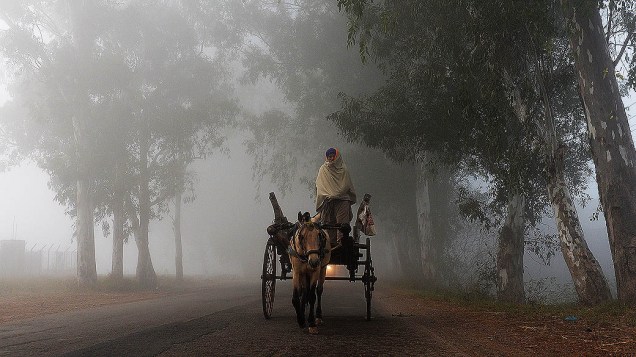 Carroceiro é visto em meio a densa neblina em Suchit-Garh na fronteira com o Paquistão