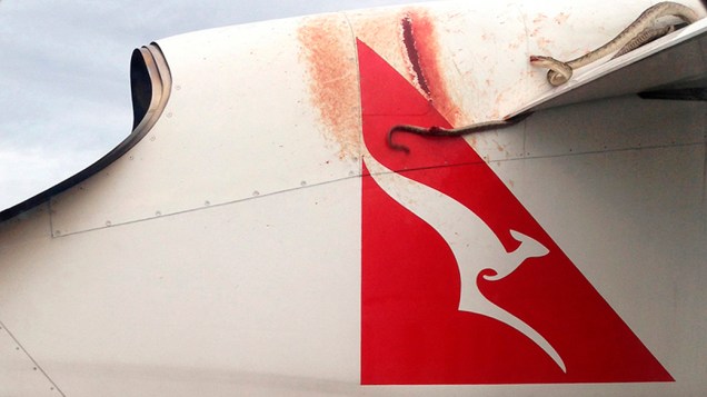 Um cobra píton assuntou passageiros de um avião da Quanta, que saiu da Austrália com direção a Papa-Guiné