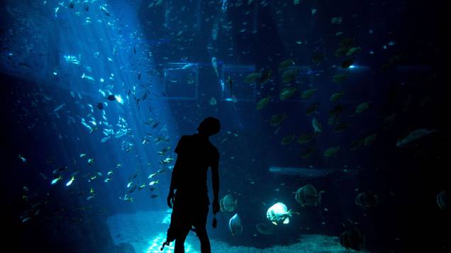 Homem observa aquário em exposição no Marine Life Park de Sentosa, em Cingapura