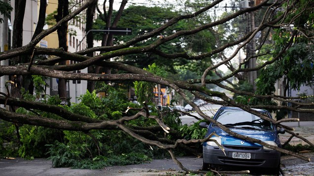 Árvore cai e atinge veículo na região do Morumbi na zona oeste de São Paulo durante temporal