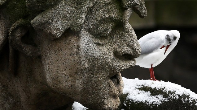 Gaivota é fotografada próxima a uma estátua em Dusseldorf, na Alemanha