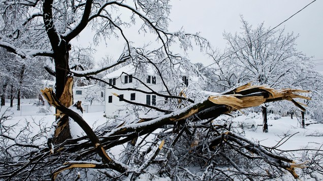 Tempestade de neve atinge centro-oeste dos EUA. Neve pesada derrubou galhos em Merriam, Kansas