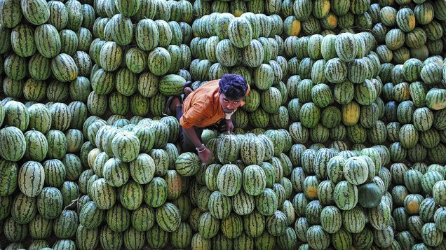 Trabalhador empilha melancias no mercado de Frutas em Hyderabad. Governo cria programa para combater a desnutrição, na Índia