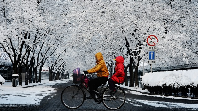Forte nevasca cobre árvores em parque de Pequim, na China