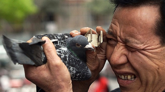 Cliente examina pombo  no município de Chongqing. A China já registra 21 casos de gripe aviária