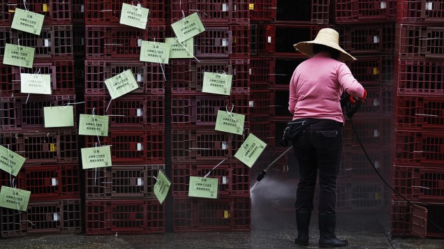 Mulher limpa gaiolas vazias, que foram utilizados para o transporte de frangos no intuito de conter surto de gripe aviária em Hong Kong, na China 