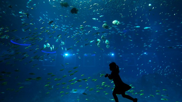Menina corre para tirar fotos de peixes no Resorts World Sentosas S.E.A. Aquarium, em Cingapura