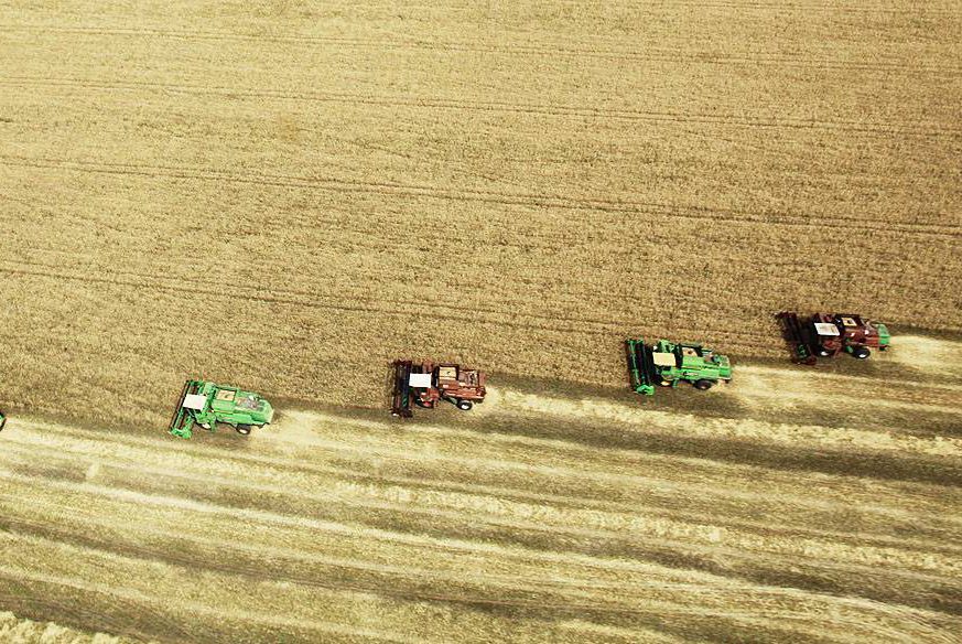 Uma vista aérea mostra máquinas de colheita de trigo em um campo perto da vila de Moskovskoye, fora de Stavropol, no sul da Rússia