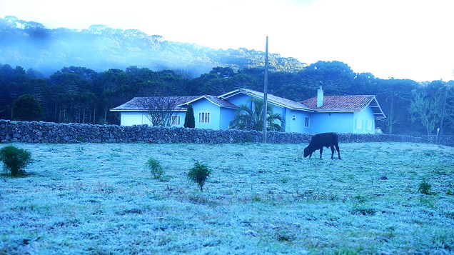 Urupema, em Santa Catarina, registrou temperatura negativa durante a madrugada desta terça-feira (16). Os termômetros chegaram a marcar -4,4ºC. Ao amanhecer, a vegetação estava coberta por uma fina camada de gelo