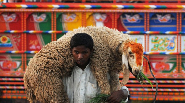 Menino carrega uma ovelha em seus ombros perto de um mercado de gado em Lahore, no Paquistão