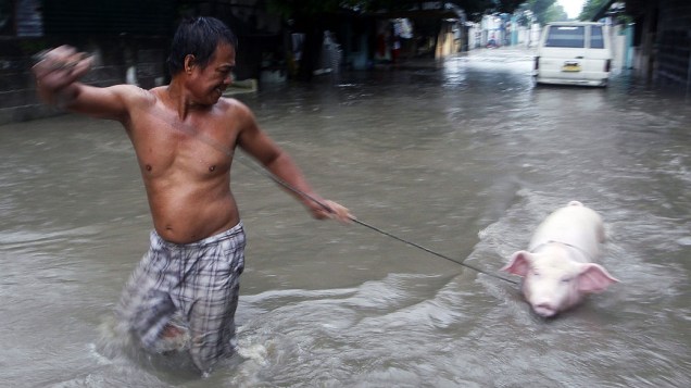 Homem ajuda o seu porco a atravessar uma rua alagada na cidade de Las Pinas, sul de Manila, nas Filipinas 