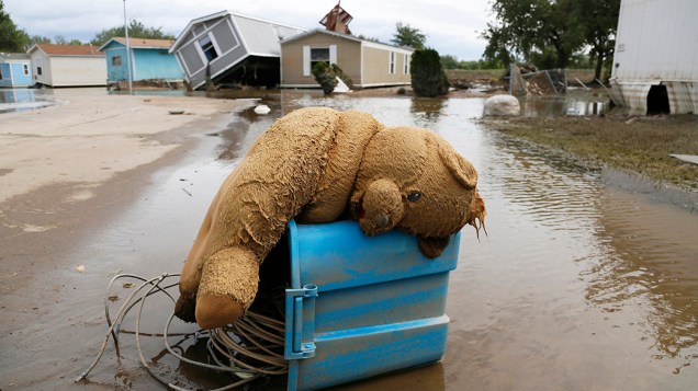 Urso de pelúcia caído sobre uma rua inundada em Eastwood Village, Evans, no estado do Colorado