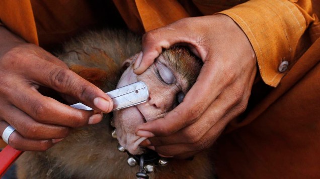 Homem raspa seu macaco com uma navalha antes de executar em Lahore, no Paquistão