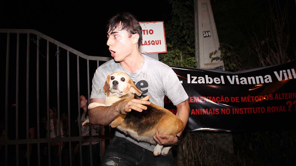 Ativista com cão da raça beagle que era usado para realização de testes no Instituto Royal em São Roque, São Paulo