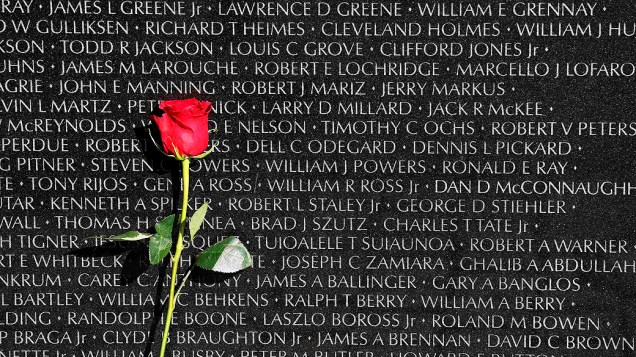 Rosa deixada no Memorial do Veteranos da Guerra do Vietnã no Dia dos Veteranos em Washington