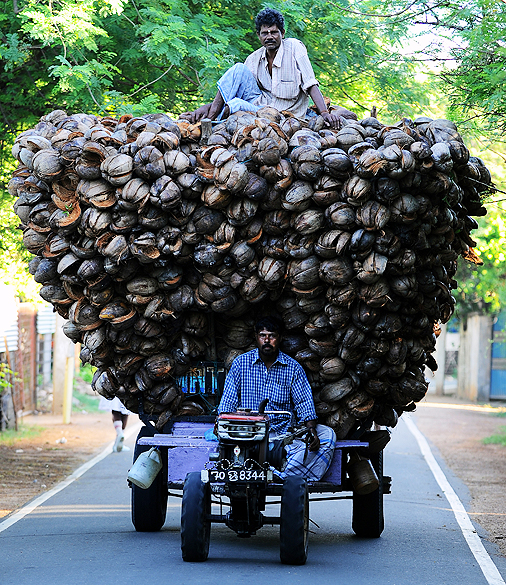 Agricultores transportam cascas de coco em Jaffna, ao norte da capital Colombo, no Sri Lanka